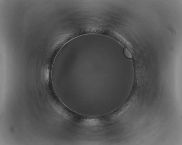 X0000113950067200909251347