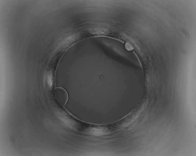 X0000113950069200909251347
