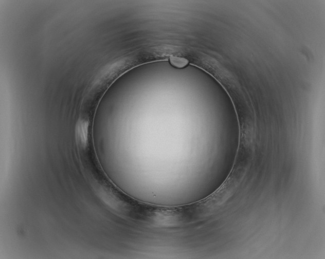 X0000113950070200909251347