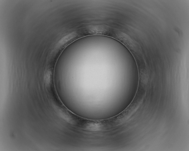 X0000113950071200909251347
