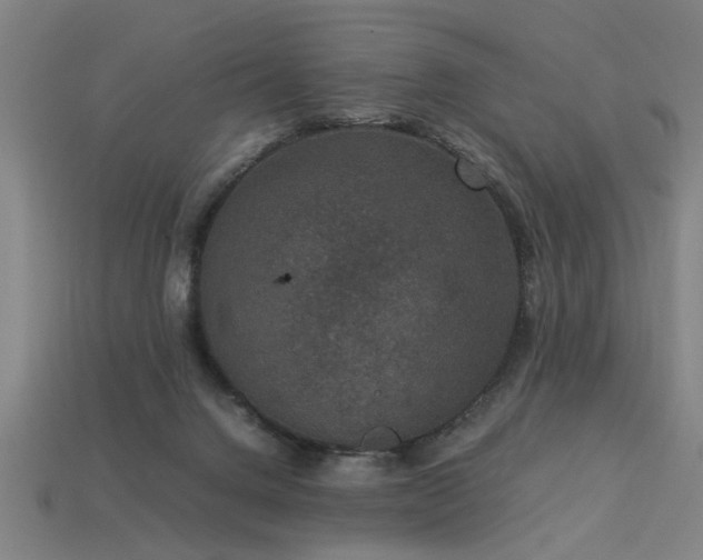 X0000113950072200909251347