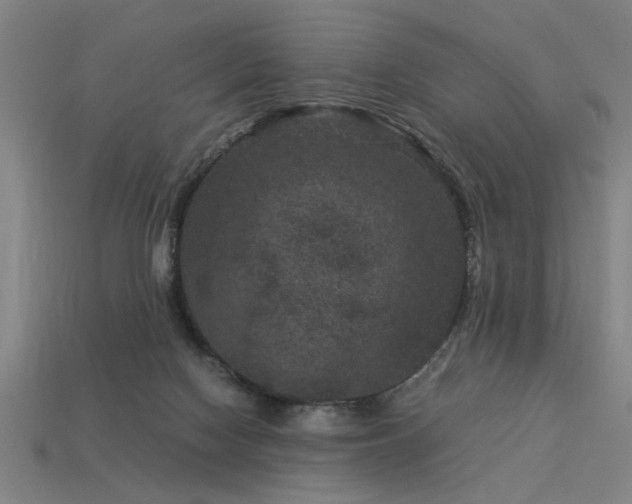 X0000113950074200909251347
