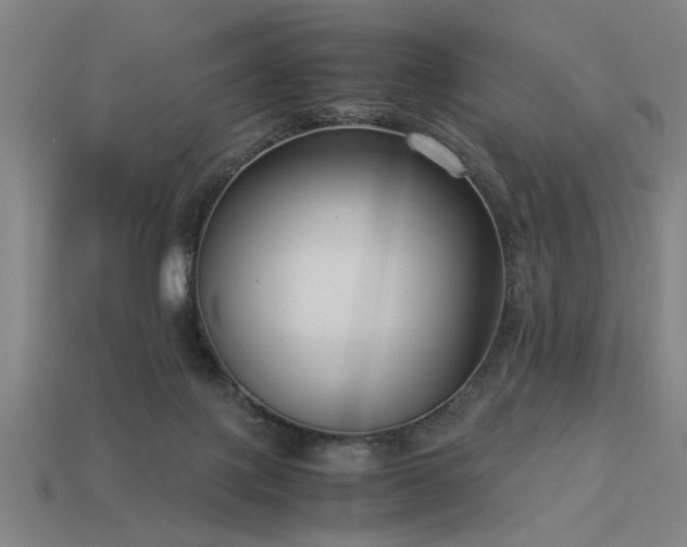 X0000113950075200909251347