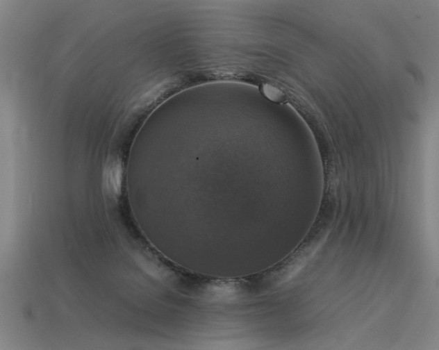 X0000113950076200909251347