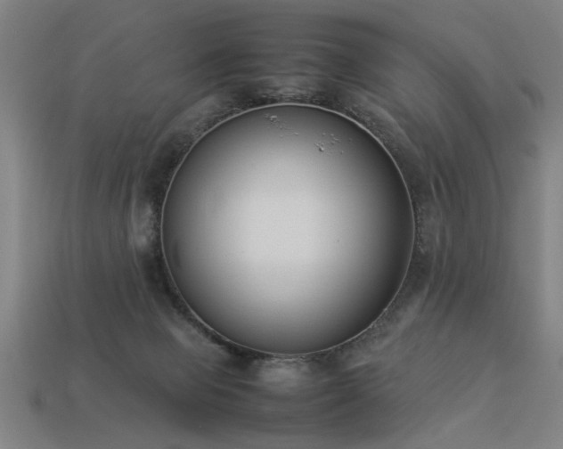 X0000113950077200909251347