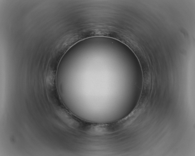 X0000113950078200909251347