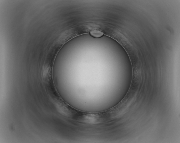 X0000113950079200909251347