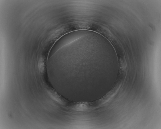 X0000113950080200909251347