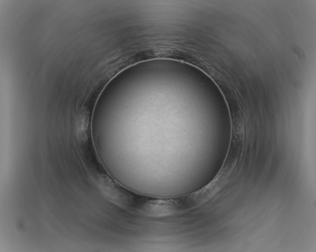 X0000113950082200909251347