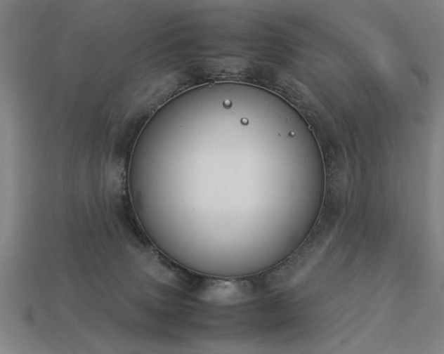X0000113950083200909251347