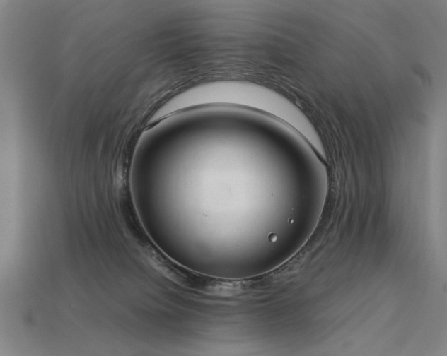 X0000113950084200909251347