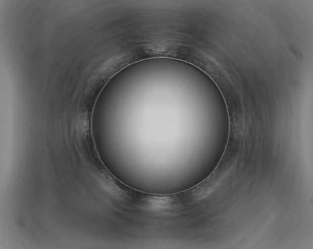 X0000113950085200909251347