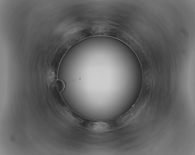X0000113950087200909251347