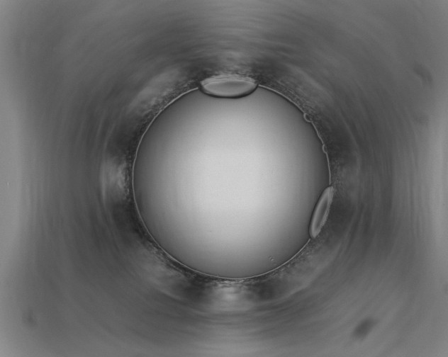 X0000113950088200909251347