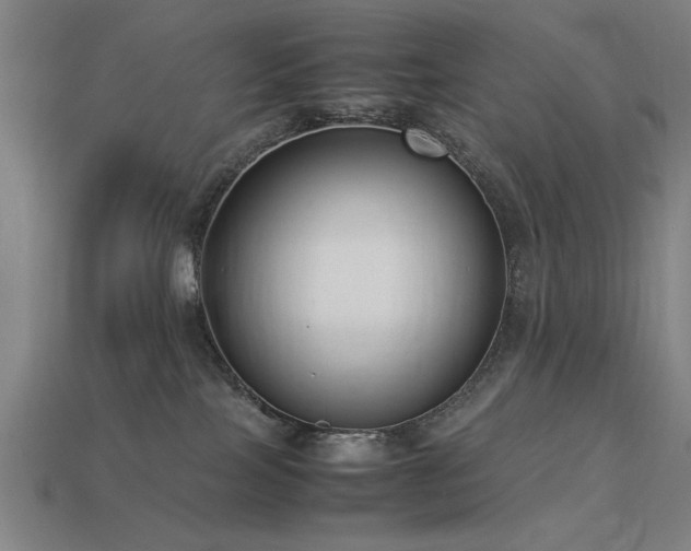 X0000113950089200909251347