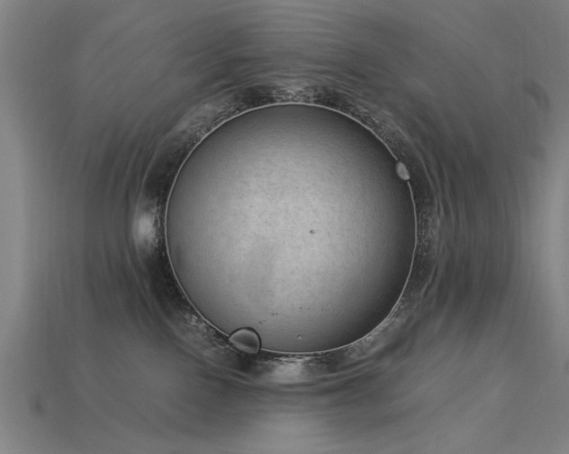 X0000113950090200909251347