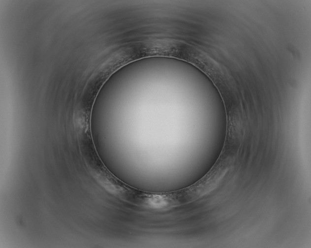 X0000113950091200909251347