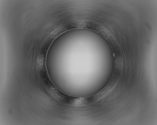 X0000113950092200909251347