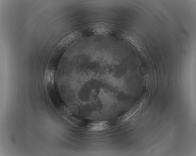 X0000113950093200909251348