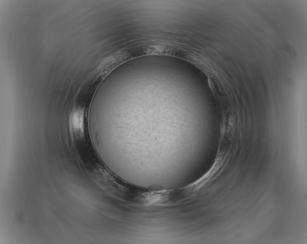 X0000113950094200909251348