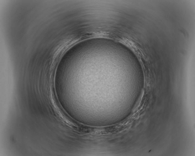 X0000113950097200909251347
