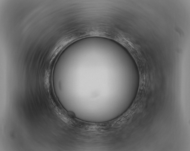 X0000113950098200909251347