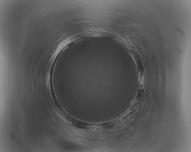 X0000113950099200909251347