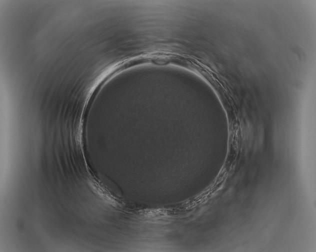 X0000113950100200909251347