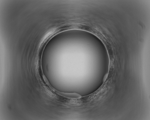 X0000113950101200909251347