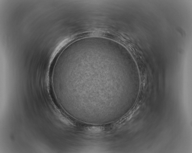 X0000113950102200909251347