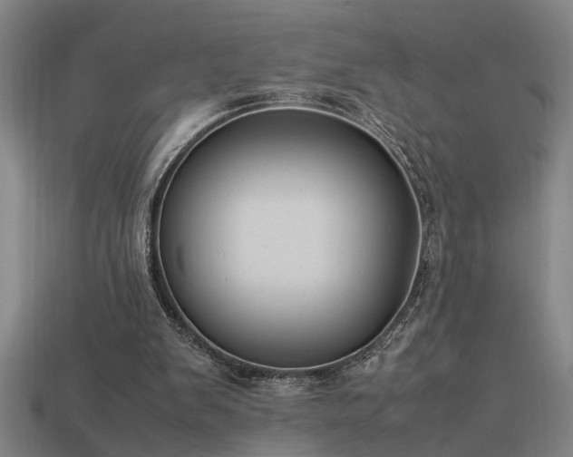 X0000113950103200909251347