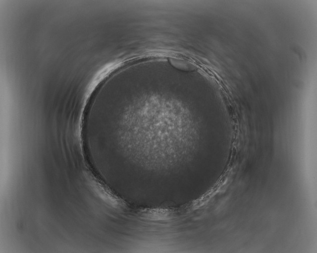 X0000113950104200909251347