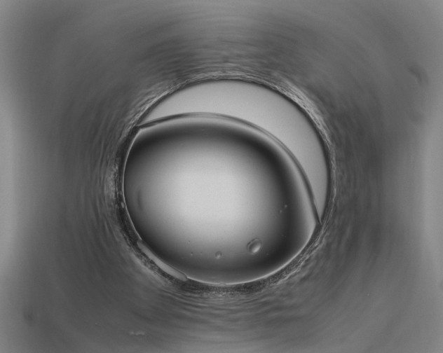 X0000113950105200909251347