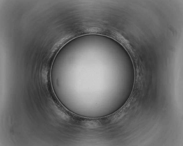 X0000113950106200909251347
