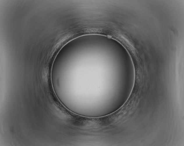 X0000113950107200909251347