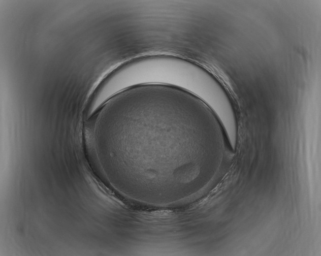 X0000113950108200909251347