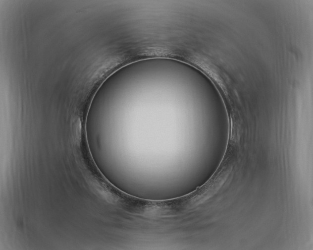 X0000113950109200909251347