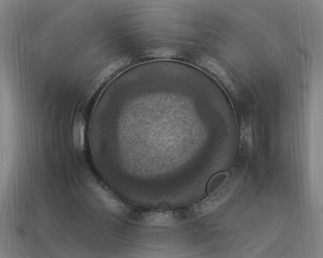 X0000113950110200909251347