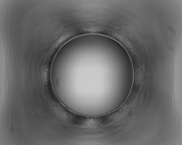 X0000113950111200909251347