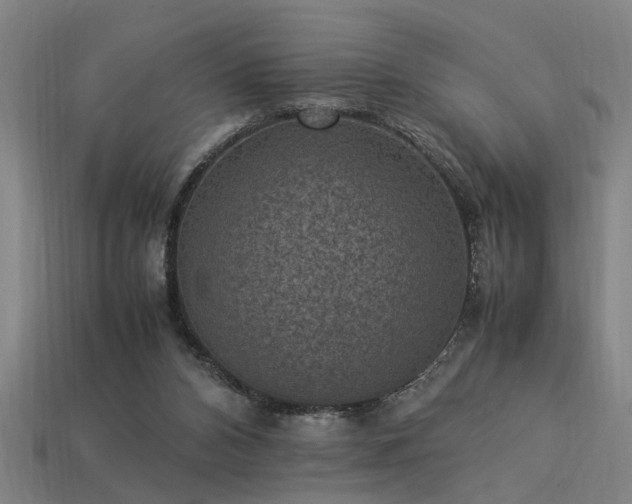 X0000113950112200909251347