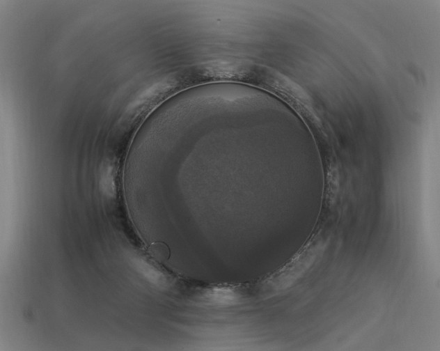 X0000113950114200909251347