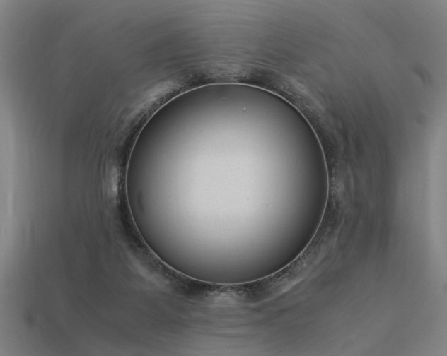 X0000113950115200909251347
