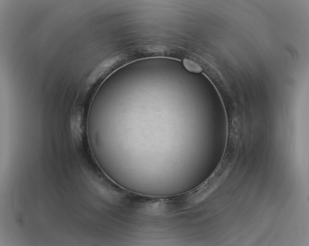 X0000113950116200909251347