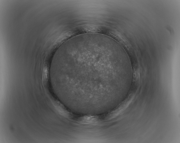 X0000113950117200909251347