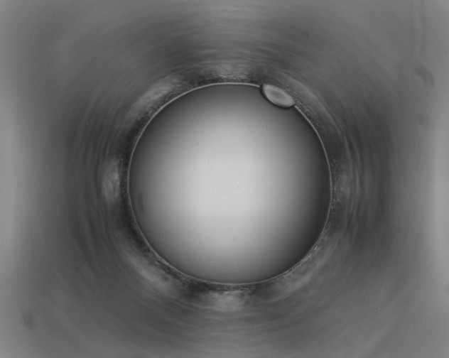 X0000113950120200909251347