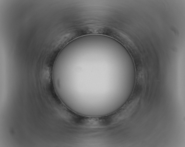 X0000113950121200909251347