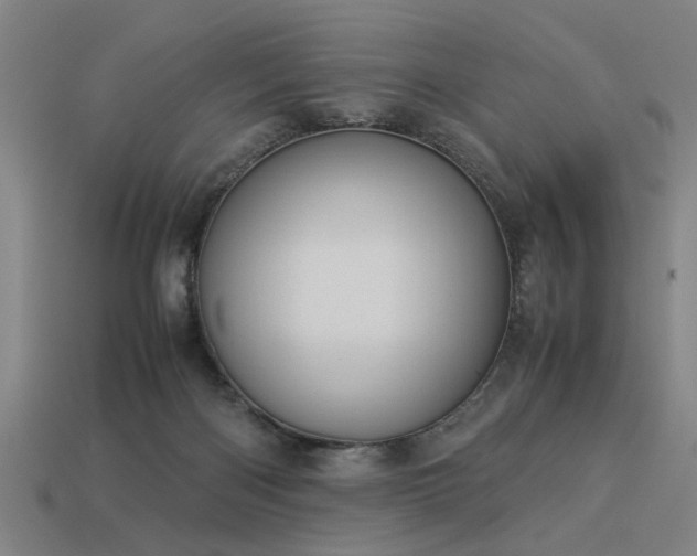 X0000113950122200909251347