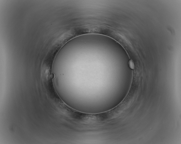 X0000113950123200909251347