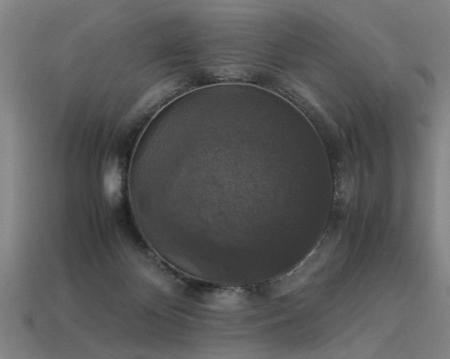 X0000113950124200909251347