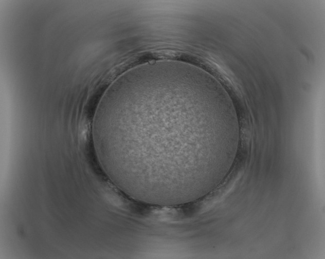 X0000113950125200909251347